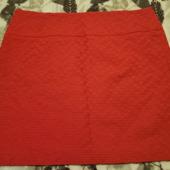 Red Skirt - Picture 2 of 4
